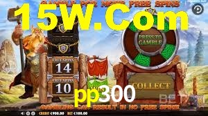 Programa VIP pp300